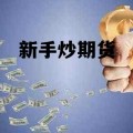 新手炒期货 新手炒期货从入门到精通书籍